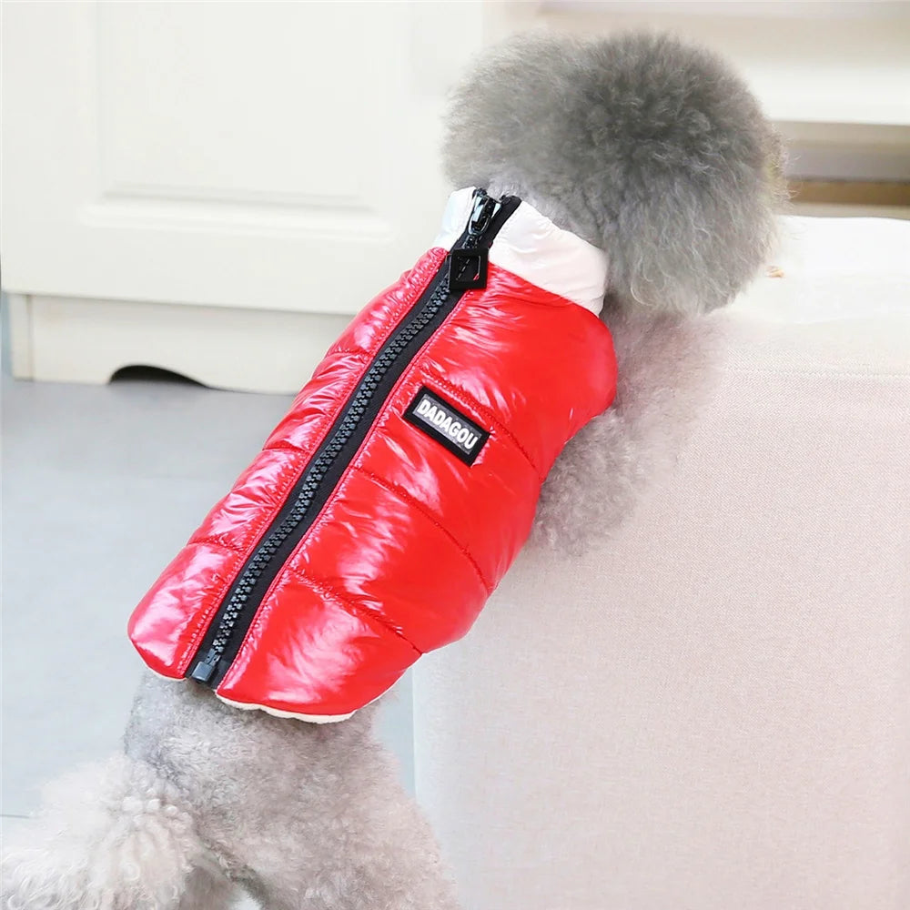 Pet Cats Dog Clothes Winter Warm Down Jacket For Small Dogs Cotton Chihuahua Hooded Clothes Dog Windproof Clothing Coat Apparel