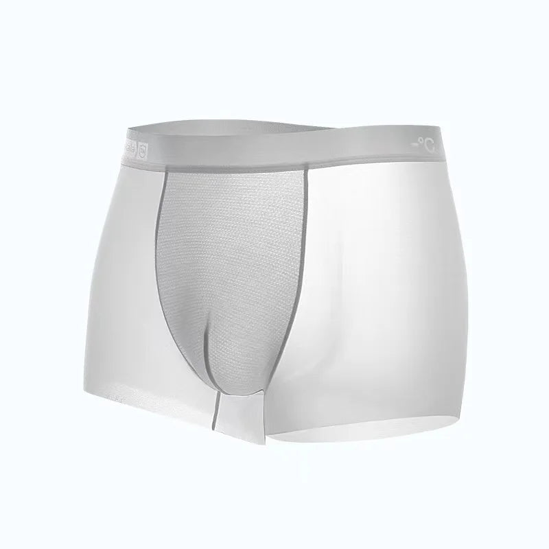 Ice Silk Men's Panties Sports Quick Drying Fashion Shorts Thin Plus Size Panties Boxer Underwear Underpants Gift Luxury